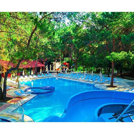 Festival Nature Hotel Kemer Buitenkant foto