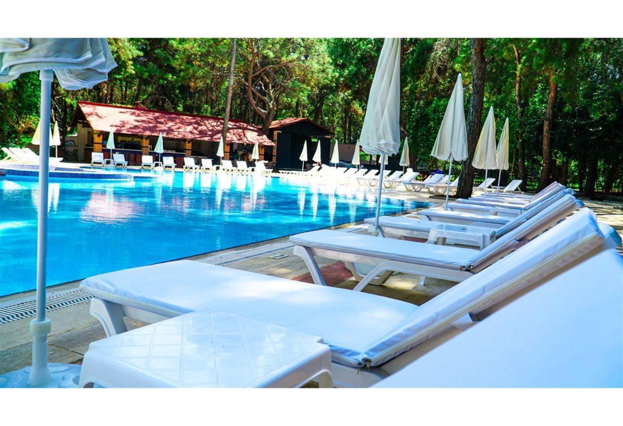 Festival Nature Hotel Kemer Buitenkant foto
